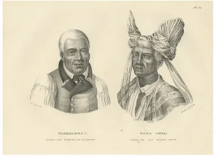 Brodtmann, Portraits of Tammeamea I of Hawaii and Naba Leba of Solor, 1836, Print
