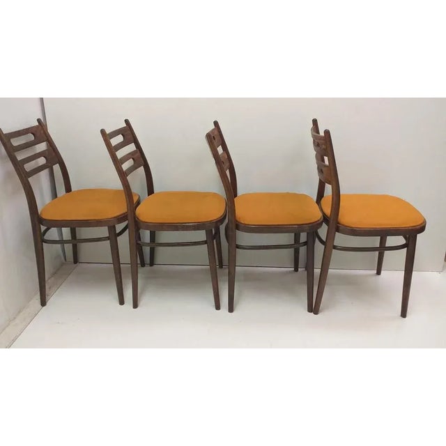 Chairs by Ton for Hala, Czechoslovakia, 1960s, Set of 4 For Sale - Image 11 of 12