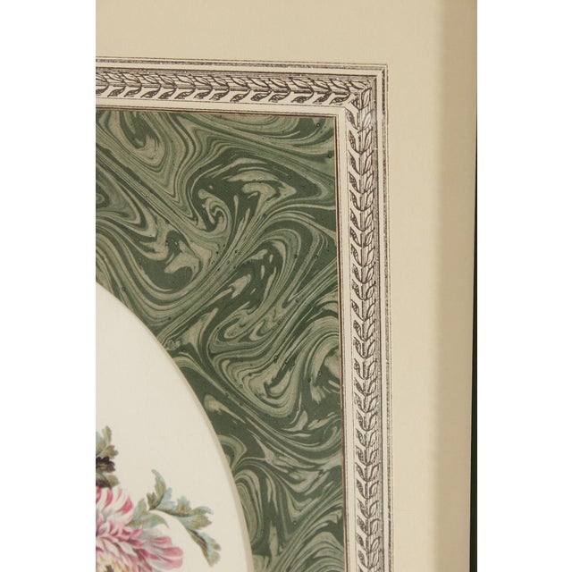 John-Richard Framed Floral Print For Sale In Philadelphia - Image 6 of 12