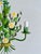 Italian three-light chandelier in painted tole, attributed to Sergio Terzani, Florence, circa 1970s. It features white...