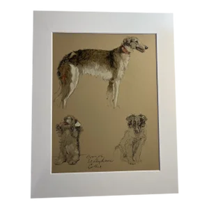 1935 Borzoi Terrier Collie Aldin Dog Print