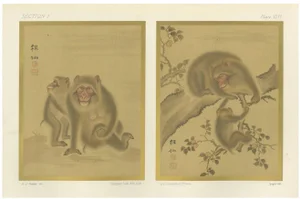Lemercier, Japanese Monkeys with Peaches, Prints, Set of 2