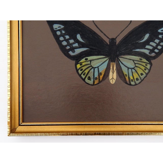 Matt Rix, Naive Style Butterfly Specimen in Blue and Green, 2000s, Oil Painting, Framed For Sale - Image 6 of 10