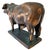 Bronze 1969 Vintage Santa Gertrudis Breeders International Bronze Bull Trophy Statue For Sale - Image 8 of 13