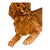 American Vintage Original Painting Golden Retriever Dog For Sale - Image 3 of 6
