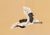 Not Yet Made - Made To Order 36" * H100"/Panel * 5ps, Mustard-Yellow Pine and Crane Wallpaper, Chinese-Style Pine and Crane Wallpaper Mural, 5 Panels For Sale - Image 5 of 6