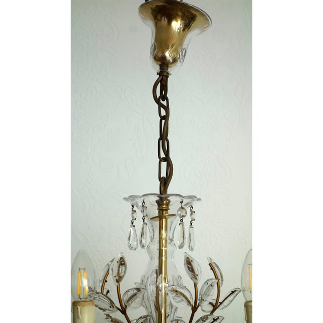 Antique Maria Theresia 5-Light Chandelier from Palwa, 1960s For Sale - Image 4 of 14