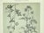 Printmaking Materials 1902 -Set of 3 Antique French Botanicals- Ivy, Fushia, Sweet William, Documentation For Sale - Image 7 of 14