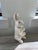 Shabby Chic Mid 20th Century White Ceramic Rabbit Figurine For Sale - Image 3 of 10
