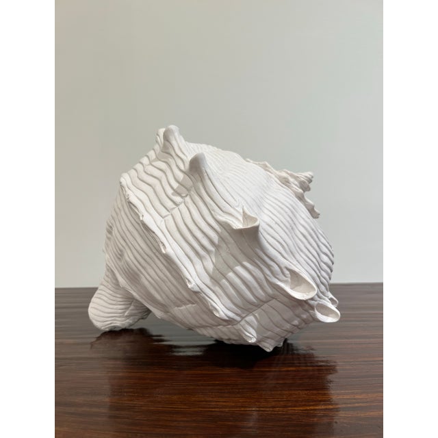 Plastic Oversized White Cast Resin Shell Sculpture For Sale - Image 7 of 8