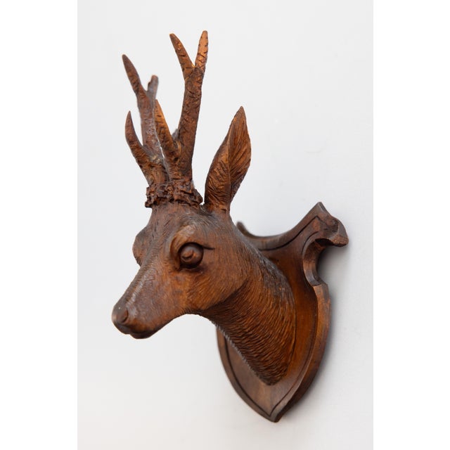 Cabin Pair of Antique Black Forest Carved Deer Head Trophy Plaques, Circa 1900 For Sale - Image 3 of 7