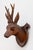 Cabin Pair of Antique Black Forest Carved Deer Head Trophy Plaques, Circa 1900 For Sale - Image 3 of 7
