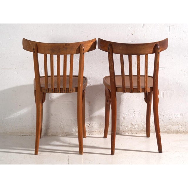Brown Bentwood Chairs in the style of Thonet, Central Europe, 1930, Set of 4 For Sale - Image 8 of 12