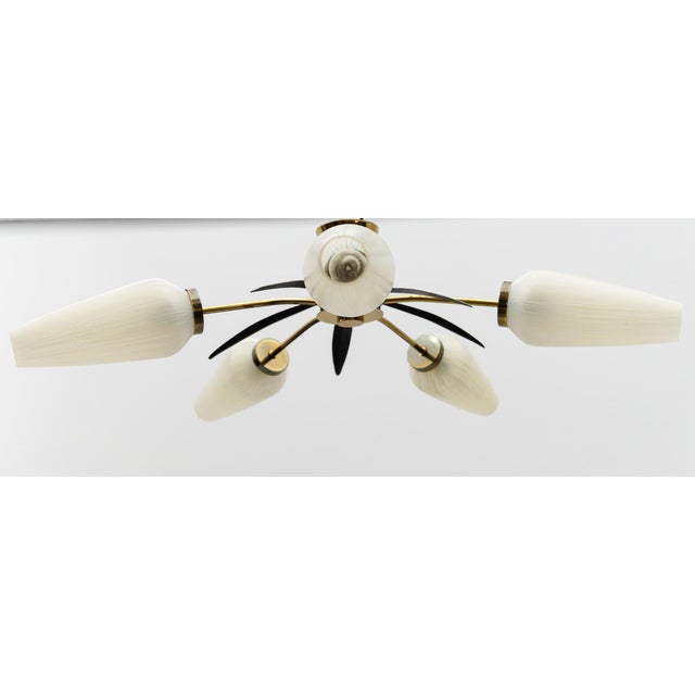 Mid-Century Modern 5-Armed Brass and Glass Sputnik Lamp, 1950s For Sale - Image 6 of 13