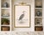 Great Blue Heron Coastal Study, Neutral Bird Wall Art Print, 20" X 30" For Sale - Image 9 of 11