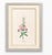 Atelier Aria Lumae Magdalena Rosina Funck Style Botanical Miniature Passe Partout Prints Complete 30 Piece Set A4 For Sale - Image 15 of 18