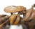 1970s Japanese Shōwa Carved Boxwood Okimono With Cicada For Sale - Image 5 of 11