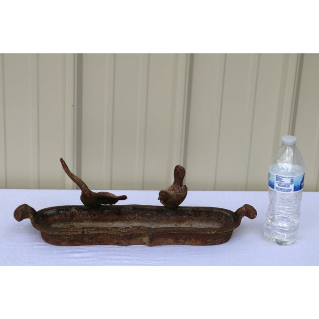 Early 20th Century French Cast Iron Small Bird Bath/Feeder For Sale - Image 11 of 11