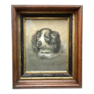Late 19th Century Victorian Original Charcoal Drawing of King Charles Spaniel Dog Portrait For Sale