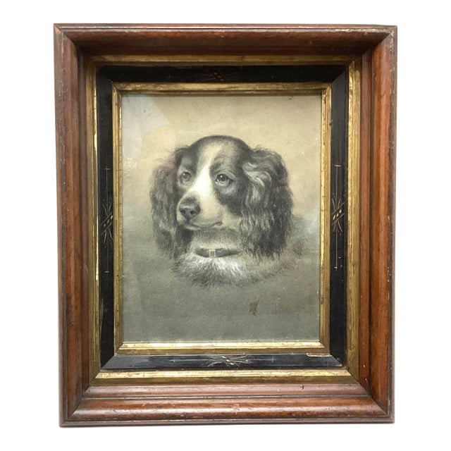 Late 19th Century Victorian Original Charcoal Drawing of King Charles Spaniel Dog Portrait For Sale