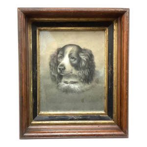Late 19th Century Victorian Original Charcoal Drawing of King Charles Spaniel Dog Portrait