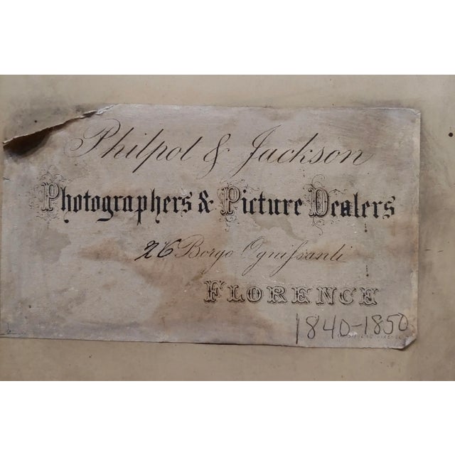 Brown Michelangelo Meucci -Still Life of Song Birds -19th Century Oil Painting For Sale - Image 8 of 9