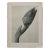 Original Karl Blossfeldt Photogravure Botanical Print For Sale