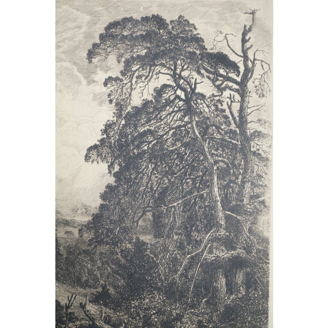 Antique English Grove of Trees Gnarled Pines Church Village Etching 17" For Sale - Image 10 of 11