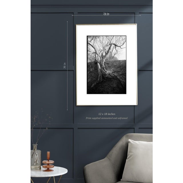 Not Yet Made - Made To Order Paul Cooklin, Tree Branches, Edition of 50 For Sale - Image 5 of 7