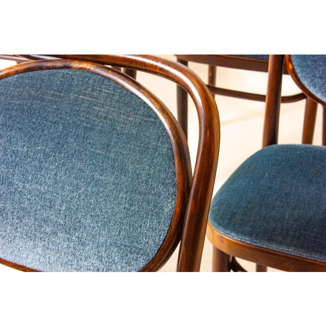 Bentwood and Blue Velvet Chairs attributed to Josef Hoffman for Thonet, 1960s, Set of 6 For Sale - Image 10 of 12