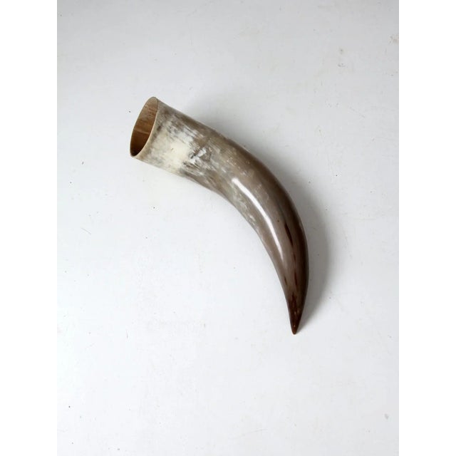 Vintage Polished Horn For Sale - Image 12 of 12