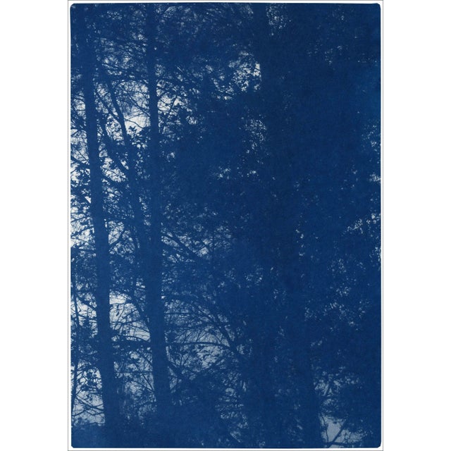 2021 "Forest Silhouette Sunset" Forest Landscape Cyanotype Triptych Print on Watercolor Paper - Set of 3 For Sale In Miami - Image 6 of 8