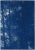 2021 "Forest Silhouette Sunset" Forest Landscape Cyanotype Triptych Print on Watercolor Paper - Set of 3 For Sale In Miami - Image 6 of 8