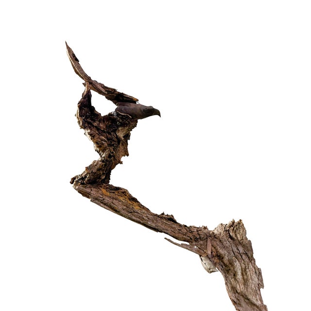 Wood Late 20th Century Signed Lubomir Tomaszewski Monumental Wood and Copper Bird Sculpture, 45 Inches For Sale - Image 7 of 15