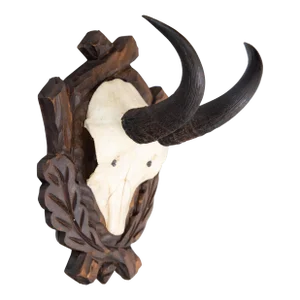 Black Forest Chamois Antlers Hunting Trophy Mount