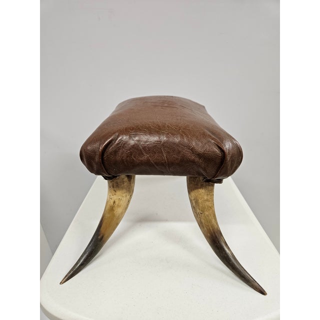 Brown Southwest Horn and Leather Footstool For Sale - Image 8 of 17