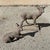 Vintage Reclining Fawn Seated Deer Small 16" Cement Concrete Stone Garden Statue For Sale - Image 13 of 15
