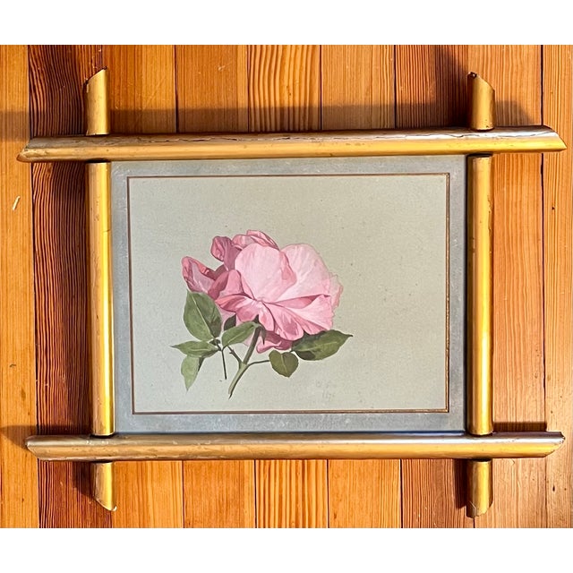 Rose Antique 19th Century American Floral Botanical Watercolor Study of a Rose Signed Copely in Gilt Wood Frame For Sale - Image 8 of 10