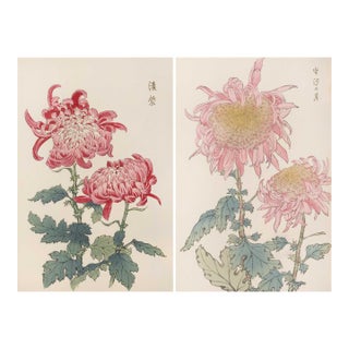 Crimson & Blush Diptych – Vintage Japanese Botanical Prints (Set of 2), 12"x 18" For Sale