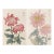 Crimson & Blush Diptych – Vintage Japanese Botanical Prints (Set of 2), 12"x 18" For Sale