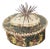 Antique Brocade Paper-Box With Sea Shell Decoration For Sale