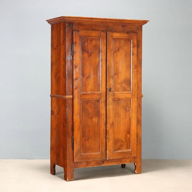 19th Century 2-Body Larch Wardrobe, Italy For Sale - Image 10 of 10