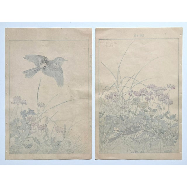 Imao Keinen, 今尾 景年, ( 1845 – 1924) was a Japanese painter and print artist who worked in the late 19th and early 20th...