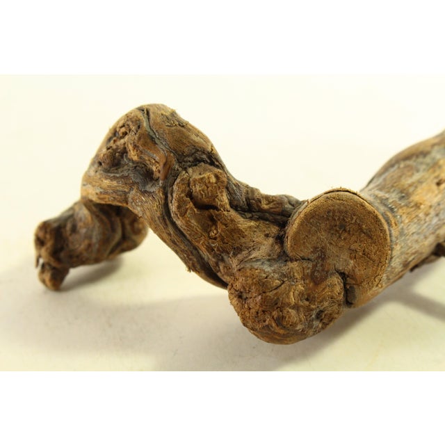 1960's Grapevine Corkscrew From Reine Pedauque Vineyard in Beaune, France For Sale - Image 12 of 12