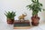 Mid 20th Century Vintage Brass Elephant For Sale - Image 5 of 8