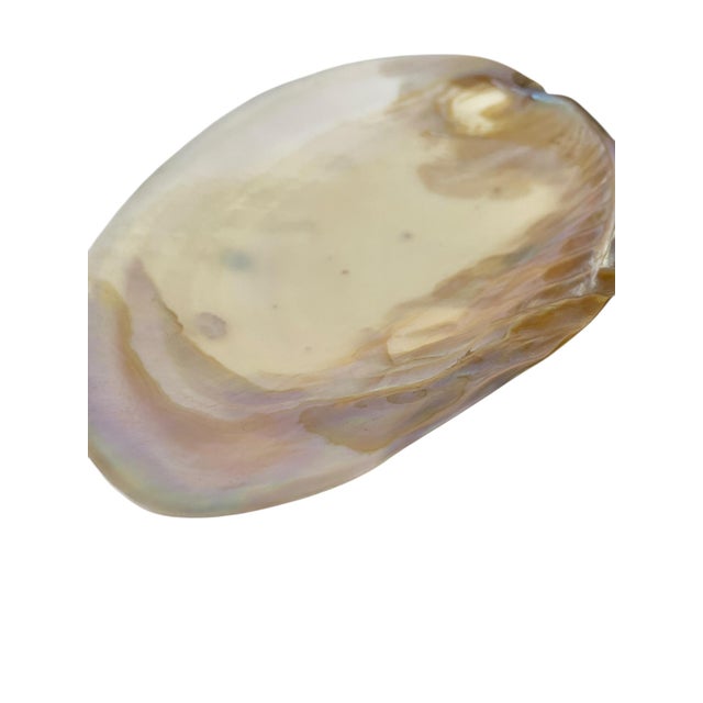 Vintage Polished Shell Caviar Footed Serving Dish Plate For Sale - Image 4 of 12