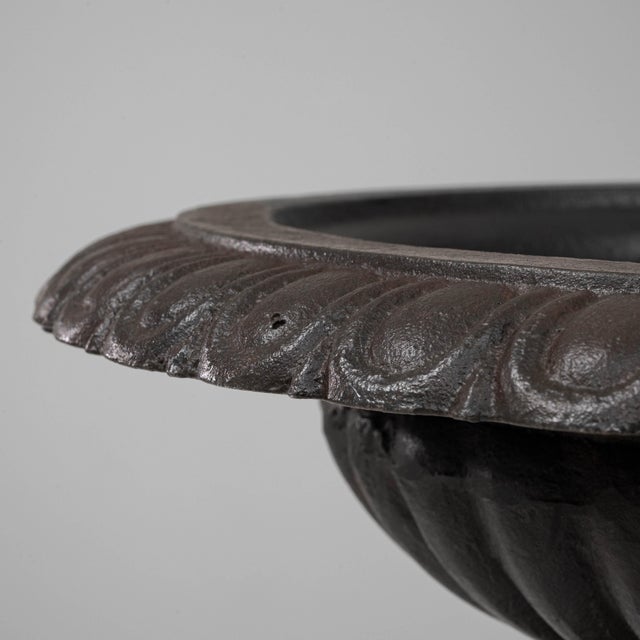 1900s French Cast Iron Tazza Urn Planters - A Pair For Sale In Greensboro - Image 6 of 18
