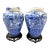 Vintage Chinese Floral Blue & White Qing Ginger Jar Pair With Lotus Petal Border For Sale