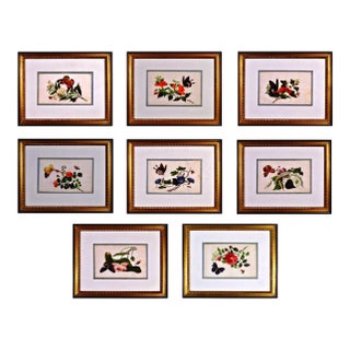 China Trade Framed Pith Pictures of Butterflies and Plants For Sale