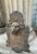 Early 20th Century Cast Iron Lion Architectural Fountain Back For Sale - Image 12 of 17